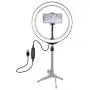 10.2 Inches Ring Light -Dimmable LED Ring Light Kit Photography Light Selfie Fill Light with Mobile Phone Holder for Vlog, Makeup, YouTube, Camera, Photo, Video 10.2 Inches Ring Light -Dimmable LED Ring Light Kit Photography Light Selfie Fill Light with Mobile Phone Holder for Vlog, Makeup, YouTube, Camera, Photo, Video