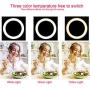 Yefound 9" Portable Led Ring Light with Stand & Cell Phone Holder and Remote Control for Live Streaming in YouTube, Facebook,can Selfie, Take Video,Makeup