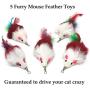 Pet Fit For Life 10 PC Squiggly Worm Furry Mouse Cat and Kitten Feather Toy Replacement Pack