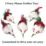 Pet Fit For Life 10 PC Squiggly Worm Furry Mouse Cat and Kitten Feather Toy Replacement Pack