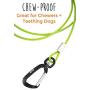 Mighty Paw Chew-Proof Dog Leash - Six-Foot Cable Lead, Steel Braided Cord with Padded Handle and Rock Climbers Carabiner