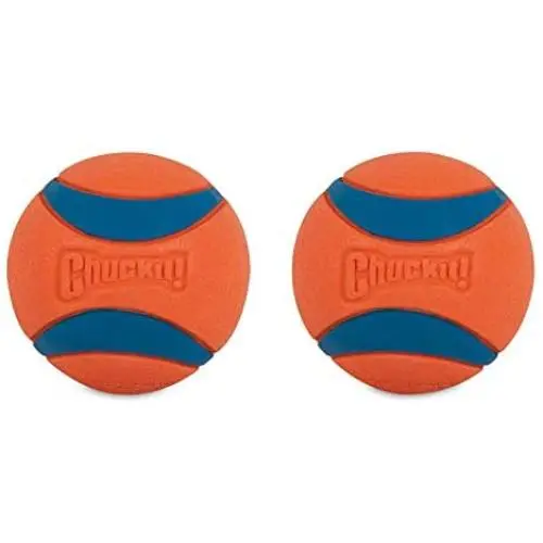 Chuckit! Dog Ball