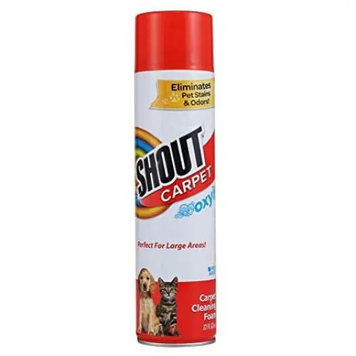 Shout Aerosol Cleaning Oxy | Pet Carpet + Odor Eliminator Foaming Stain Remover, Pack of 1, Fresh Scent Shout Aerosol Cleaning Oxy | Pet Carpet + Odor Eliminator Foaming Stain Remover, Pack of 1, Fresh Scent