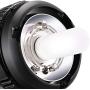 Neewer S300N Professional Studio Monolight Strobe Flash Light-300W 5600K with Modeling Lamp,Aluminium Alloy Professional Speedlite for Indoor Studio Location Model Photography and Portrait Photography
