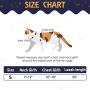 PAWCHIE Cat Harness and Leash Set - Adjustable Soft Escape Proof H-shped Safety Strap with Golden Moon and Star Pattern Glow in The Dark for Pet Cats Outdoor Walking