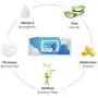 Scamper Grooming Pet Wipes, Dog Wipes - Fragrance Free, Hypoallergenic Pet Wipes for Dogs & Cats, Pack of 100