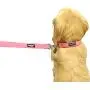 Downtown Pet Supply Deluxe Adjustable Thick Dog Collar, (Blue, Red, Black, Purple, Pink - Small, Medium, Large, or X-Large)