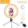 10" Selfie Ring Light with Tripod Stand, Fauna 14 Colors RGB Ring Light with Stand and Phone Holder & Remote Control 10 Brightness Desk Makeup Ring Light for Makeup,YouTube,Tiktok,Video,Vlogging