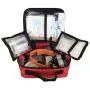 Rayco International Ltd Pet First Aid Disaster Kit w/LED Safety Collar