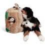 Outward Hound Kyjen  Hide A Squirrel Plush Dog Toy Squeak Toy 4 Piece