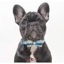 Lionet Paws Dog and Cat Collar with Bowtie,Soft and Comfortable,Adjustable Collar