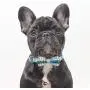 Lionet Paws Dog and Cat Collar with Bowtie,Soft and Comfortable,Adjustable Collar
