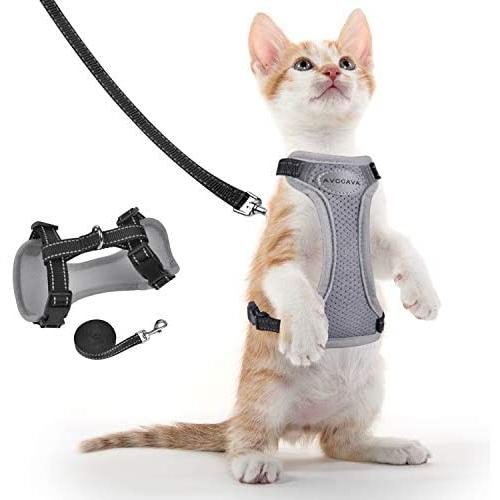 AVCCAVA Kitten Harness with Leash for Walking, Escape Proof Soft Cat Harnesses Easy Adjustable Vest Breathable Pet Safety Jacket with 1 Reflective Towing Leash