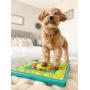 Nina Ottosson By Outward Hound - Interactive Puzzle Game Dog Toys