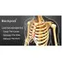The Backpod - Premium Treatment for Neck, Upper Back and Headache Pain from Hunching over Smartphones and Computers. Great for Costochondritis, Thoracic Motion and Perfect Posture The Backpod - Premium Treatment for Neck, Upper Back and Headache Pain from Hunching over Smartphones and Computers. Great for Costochondritis, Thoracic Motion and Perfect Posture