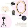 LED Ring Light 10" with Tripod Stand & Phone Holder for YouTube Video, Desk Selfie Ring Light Dimmable for Streaming, Makeup, Photography Compatible with iPhone Android