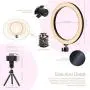 LED Ring Light 10" with Tripod Stand & Phone Holder for YouTube Video, Desk Selfie Ring Light Dimmable for Streaming, Makeup, Photography Compatible with iPhone Android LED Ring Light 10" with Tripod Stand & Phone Holder for YouTube Video, Desk Selfie Ring Light Dimmable for Streaming, Makeup, Photography Compatible with iPhone Android