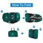 WATERFLY Packable Backpack Daypack for Men Women 20L Lightweight Travel Hiking Daypack