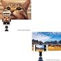 Cell Phone Tripod Mount Adapter Smartphone Tripod Holder Clip Clamp with LED Light & Microphone Shoe Mount and Bubble Level for iPhone/Samsung Galaxy/Moto/Huawei/MI Used on Tripod Monopod and More