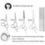 iSeaFly Dog Grooming Kit, Safety Round Tip, Heavy Duty Stainless Steel, 5 in 1 Cat Dog Grooming Scissors Set, Best Pet Grooming Shears for Full Body iSeaFly Dog Grooming Kit, Safety Round Tip, Heavy Duty Stainless Steel, 5 in 1 Cat Dog Grooming Scissors Set, Best Pet Grooming Shears for Full Body