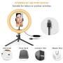 10" Selfie Ring Light with Tripod Stand, LED Ring Light with Cell Phone Holder 3 Light Modes & 10 Brightness Level for YouTube Video Live Stream Makeup Photography