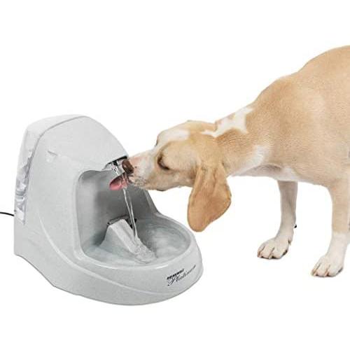 PetSafe Drinkwell Cat and Dog Water Fountain - Platinum, 1/2 or 1 Gallon Pet Drinking Fountain - 64 oz, 128 oz or 168 oz