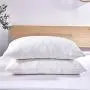 Dreaming Wapiti Pillows for Sleeping, 2 Pack Shredded Memory Foam with Machine Washable Bamboo Cover, Adjustable Loft-Stomach Side Back Sleeper (Queen), (2-Pack), White Dreaming Wapiti Pillows for Sleeping, 2 Pack Shredded Memory Foam with Machine Washable Bamboo Cover, Adjustable Loft-Stomach Side Back Sleeper (Queen), (2-Pack), White