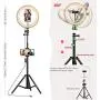 Ring Light 10" with Two Phone Holders & Tripod Stand and Bluetooth Remote for YouTube Video, Desktop Camera Led Ring Light for Streaming, Makeup, Selfie Photography Compatible with iPhone Android Ring Light 10" with Two Phone Holders & Tripod Stand and Bluetooth Remote for YouTube Video, Desktop Camera Led Ring Light for Streaming, Makeup, Selfie Photography Compatible with iPhone Android