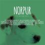 Norpur 100 Count Small Pig Ears Dog Treats | Natural, Healthy Training Snack | Meaty Protein, Oven-Baked Flavor | Promote Dental Health | Made in Canada
