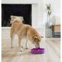 Outward Hound Fun Feeder Dog Bowl