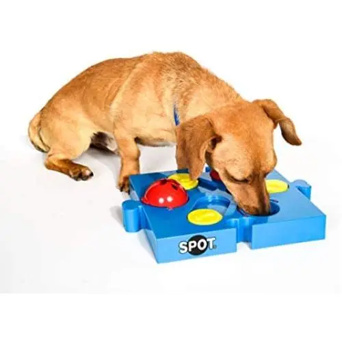 SPOT Seek-a-Treat Flip N Slide Treat Dispenser for Dogs | Dog Treat Dispenser | Dog Treat Dispenser Toy | Interactive Puzzle | Dog Treat Toys For Boredom | Dog Treat Toy Puzzle | Dog Toy Games, Model:5779 SPOT Seek-a-Treat Flip N Slide Treat Dispenser for Dogs | Dog Treat Dispenser | Dog Treat Dispenser Toy | Interactive Puzzle | Dog Treat Toys For Boredom | Dog Treat Toy Puzzle | Dog Toy Games, Model:5779