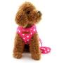 SELMAI Puppy Cat Small Girl Dog Dots Vest Harness Leash Set Mesh Padded No Pull Lead (Size Run Small,Please Check Size Details Carefully Before Purchase)