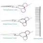 Idepet Dog Grooming Scissors Set, 6 Pcs Pet Grooming Scissors for Dogs with Straight Scissor, Curved Scissor, Thinning Shear, Grooming Comb, Nail Clipper, Nail File For Dog Cat Pet Scissor Grooming Idepet Dog Grooming Scissors Set, 6 Pcs Pet Grooming Scissors for Dogs with Straight Scissor, Curved Scissor, Thinning Shear, Grooming Comb, Nail Clipper, Nail File For Dog Cat Pet Scissor Grooming