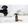 The Spruce Pet Stain & Odor Remover - Plant-Derived Enzyme-Based Cleaner for Dog and Cats Urine, Feces, Vomit, etc. Safe & Effective on Tile, Hardwood, Carpets, and Upholstery - 17 oz