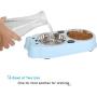 Upsky Double Dog Cat Bowls Double Premium Stainless Steel Pet Bowls with Cute Modeling Pet Food Water Feeder