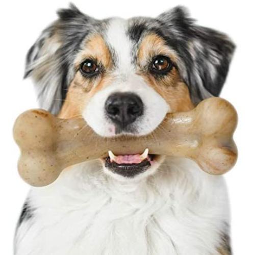 Pet Qwerks Flavor Infused BarkBone - Durable Chew Toy for Aggressive Chewers, Tough Extreme Power Chewer Bones | Made in USA
