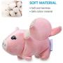 LEGEND SANDY Squeaky Plush Dog Toy Pack for Puppy, Small Stuffed Puppy Chew Toys 12 Dog Toys Bulk with Squeakers, Cute Soft Pet Toy for Small Medium Size Dogs