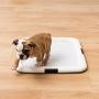 IRIS USA Small Puppy and Dog Training Pet Pad Holder