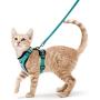 rabbitgoo Cat Harness and Leash for Walking, Escape Proof Soft Adjustable Vest Harnesses for Medium Large Cats, Easy Control Breathable Pet Safety Jacket with Reflective Strips & 1 Metal Leash Ring