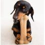 Pet Qwerks Flavor Infused BarkBone - Durable Chew Toy for Aggressive Chewers, Tough Extreme Power Chewer Bones | Made in USA
