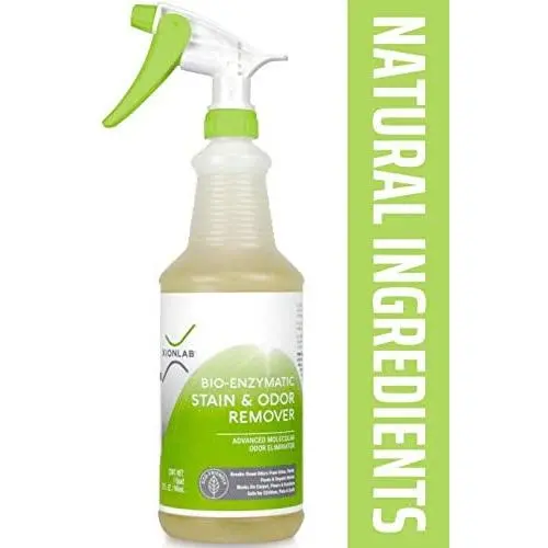 Stain Remover & Pet Odor Eliminator Spray – Urine Odor Remover for Carpet, Furniture & Upholstery – Effective Pet Urine Enzyme Cleaner Attacks the Source – Pet Carpet Cleaner Spray – Kid & Pet Safe Stain Remover & Pet Odor Eliminator Spray – Urine Odor Remover for Carpet, Furniture & Upholstery – Effective Pet Urine Enzyme Cleaner Attacks the Source – Pet Carpet Cleaner Spray – Kid & Pet Safe