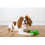 Hartz Dura Play Bacon Scented Rocket Dog Toy