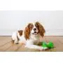 Hartz Dura Play Bacon Scented Rocket Dog Toy Hartz Dura Play Bacon Scented Rocket Dog Toy