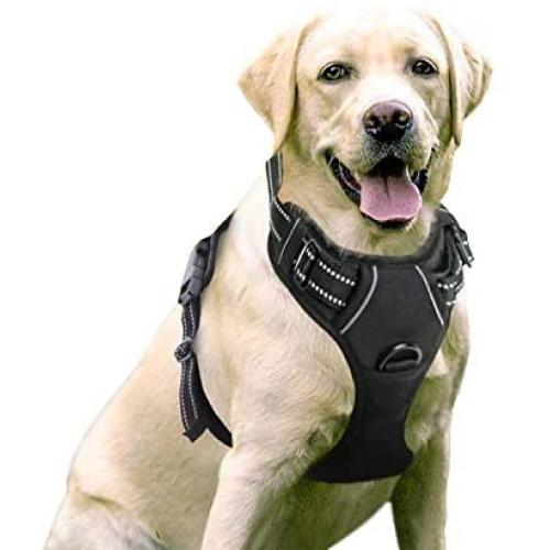 rabbitgoo Dog Harness, No-Pull Pet Harness with 2 Leash Clips, Adjustable Soft Padded Dog Vest, Reflective No-Choke Pet Oxford Vest with Easy Control Handle for Large Dogs, Black, L (Chest 20.5-36")