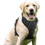 rabbitgoo Dog Harness, No-Pull Pet Harness with 2 Leash Clips, Adjustable Soft Padded Dog Vest, Reflective No-Choke Pet Oxford Vest with Easy Control Handle for Large Dogs, Black, L (Chest 20.5-36")