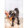 Hartz Dura Play Bacon Scented Rocket Dog Toy