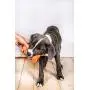 Hartz Dura Play Bacon Scented Rocket Dog Toy Hartz Dura Play Bacon Scented Rocket Dog Toy