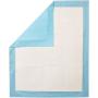 AmazonBasics Dog and Puppy Pee, Potty Training Pads, Heavy Duty Absorbency AmazonBasics Dog and Puppy Pee, Potty Training Pads, Heavy Duty Absorbency