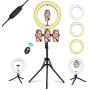 Ring Light with Mirror, Summifit 14“ Circle LED Light, Bluetooth Halo Lighting with 2 Tripod Stand, 3 Phone Holder for YouTube, TikTok, Live Streaming, Makeup, Selfie, iPhone Android