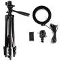 6 Inch LED Selfie Ring Light for Makeup Live Stream and YouTube Video Dimmable LED Camera Light with Tripod Stand & Cell Phone Holder for iPhone Android Phone,3 Light Modes & 11 Brightness 6 Inch LED Selfie Ring Light for Makeup Live Stream and YouTube Video Dimmable LED Camera Light with Tripod Stand & Cell Phone Holder for iPhone Android Phone,3 Light Modes & 11 Brightness